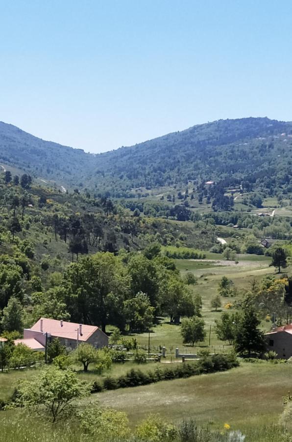 Turismo Rural Macieira Brava グアルダ エクステリア 写真
