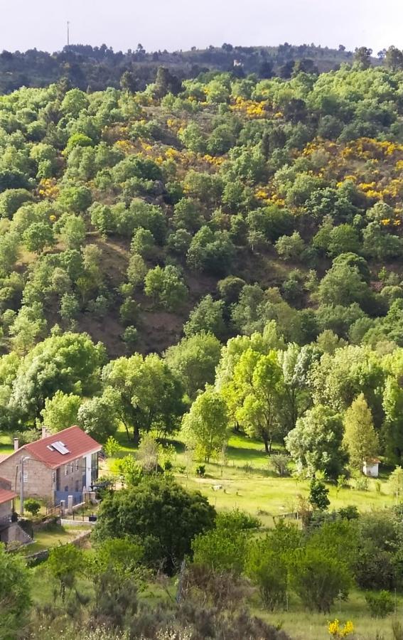 Turismo Rural Macieira Brava グアルダ エクステリア 写真