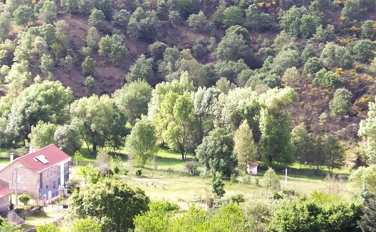 Turismo Rural Macieira Brava グアルダ エクステリア 写真